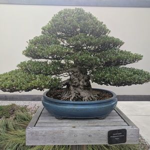 Meet your Posher, Jesse